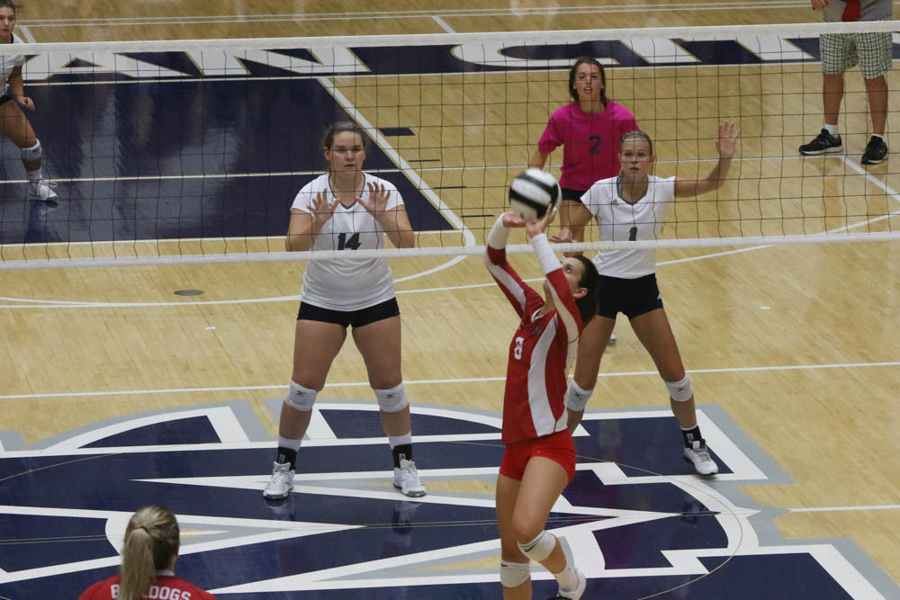 Gallery: Girls volleyball - Crown Point at Michigan City